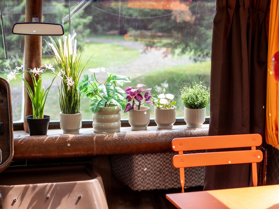 A living room with plants on a windowsill at Sleeps 2 -Pets Welcome -Private Hot Tub -Alabama