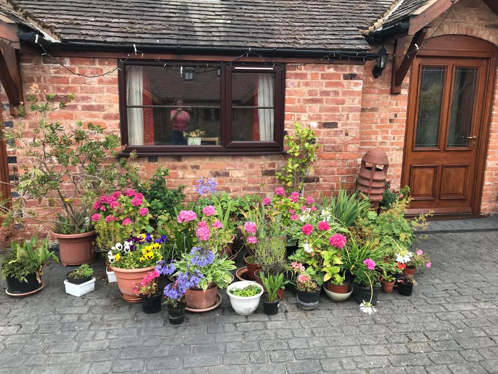 An arrangement of potted flowers in front of a brick wall at 