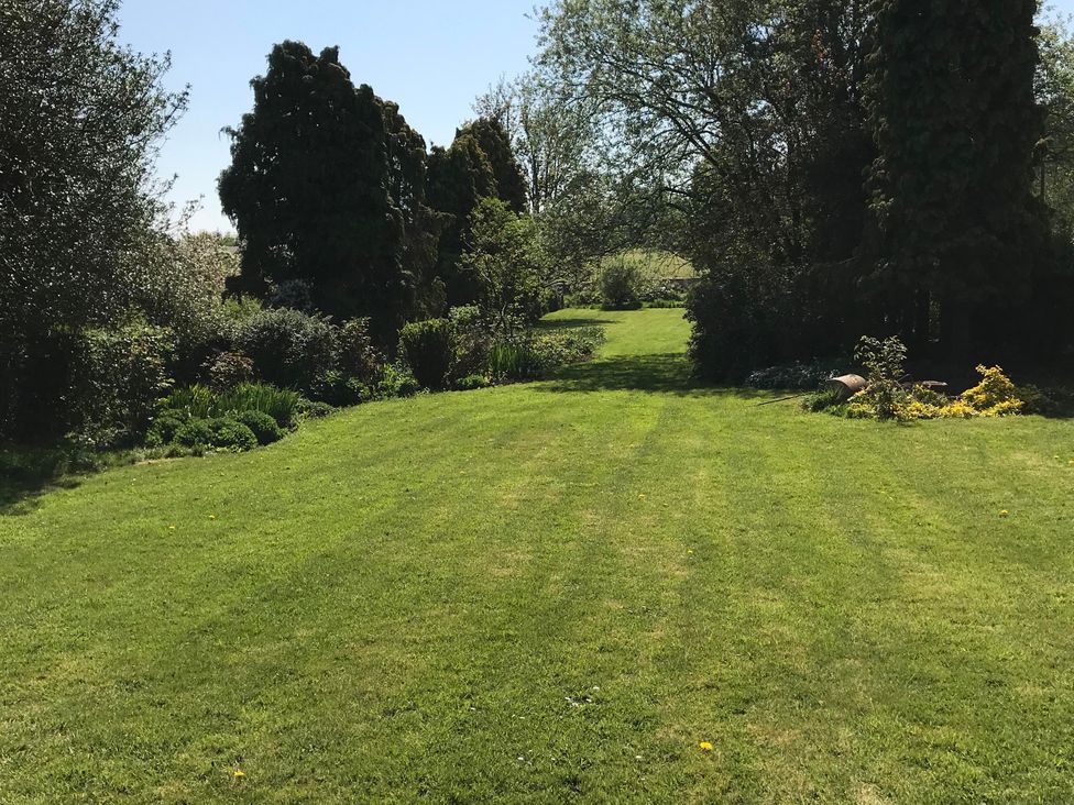 A garden with grass and trees at 