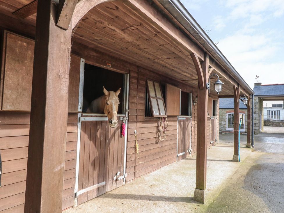 A stable with a horse looking out of the door at Dexter in Treverva near Constantine