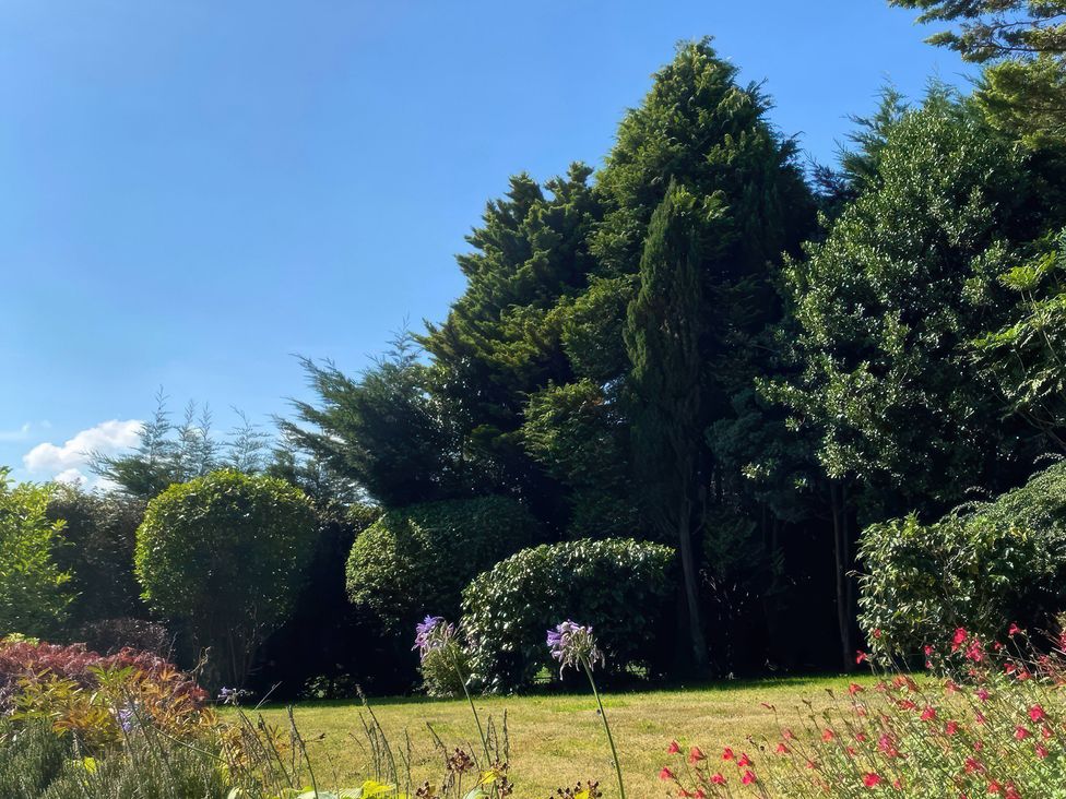 A garden with trees and flowers at The White House in Okehampton
