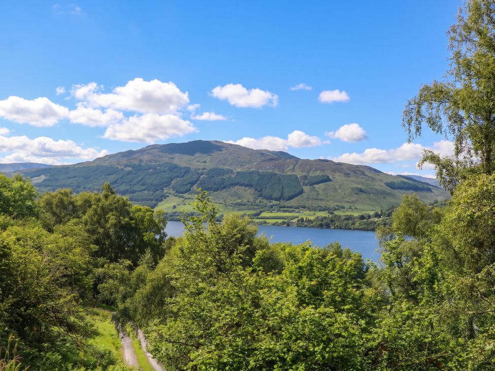 A view of a mountain and river surrounded by trees at The Tractor Shed in Killin