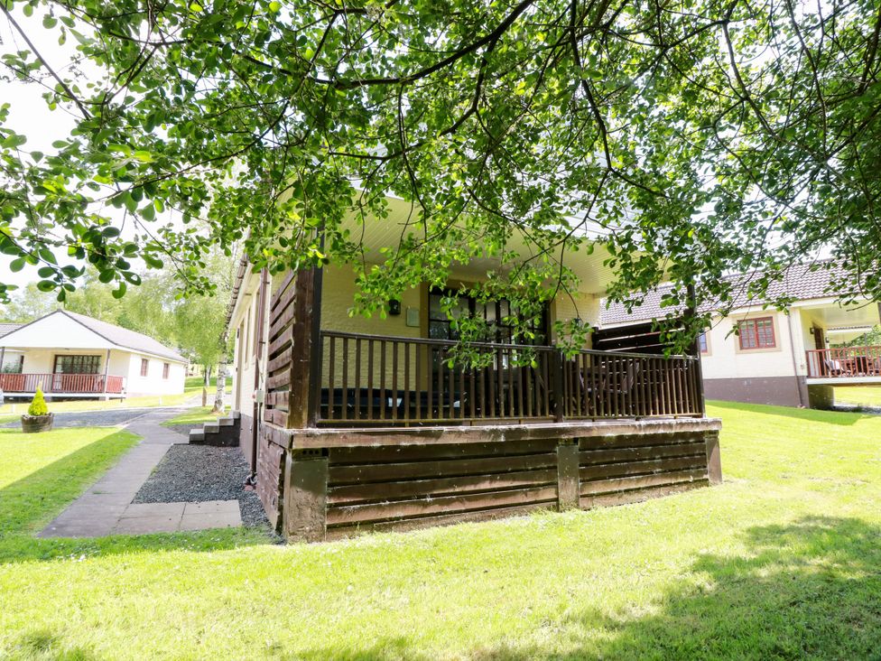 A house with a porch and green grass at 7 Brunston Avenue