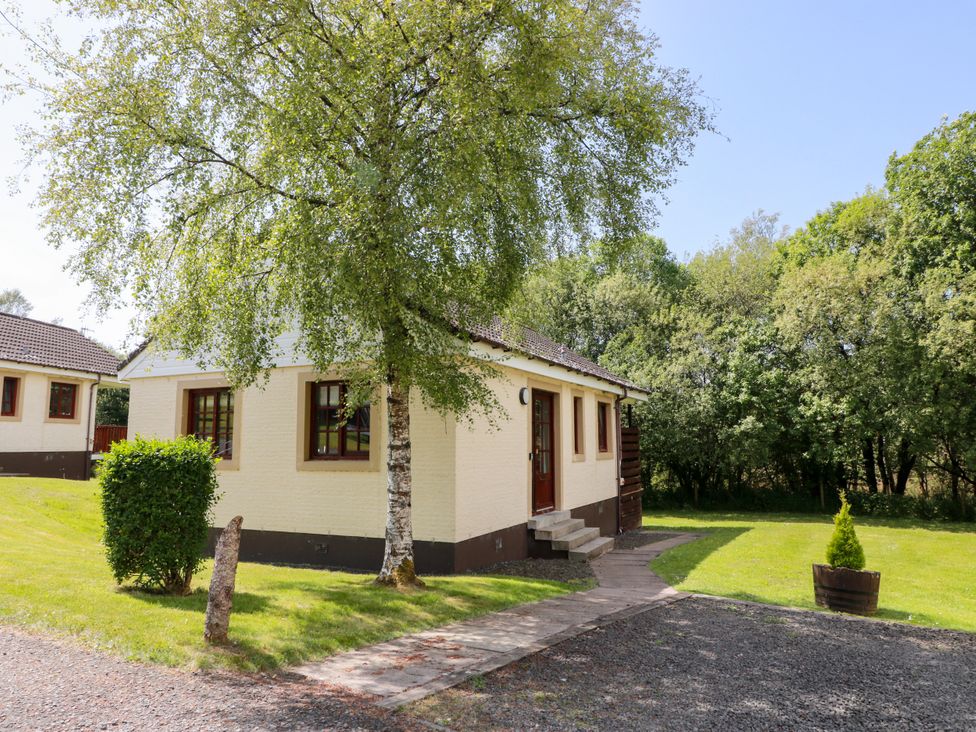A house with a tree and grass in front at 7 Brunston Avenue