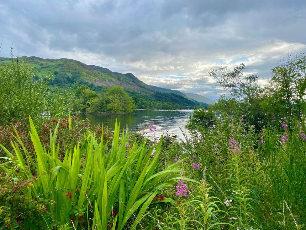 A lake surrounded by foliage at Rowan in Crieff
