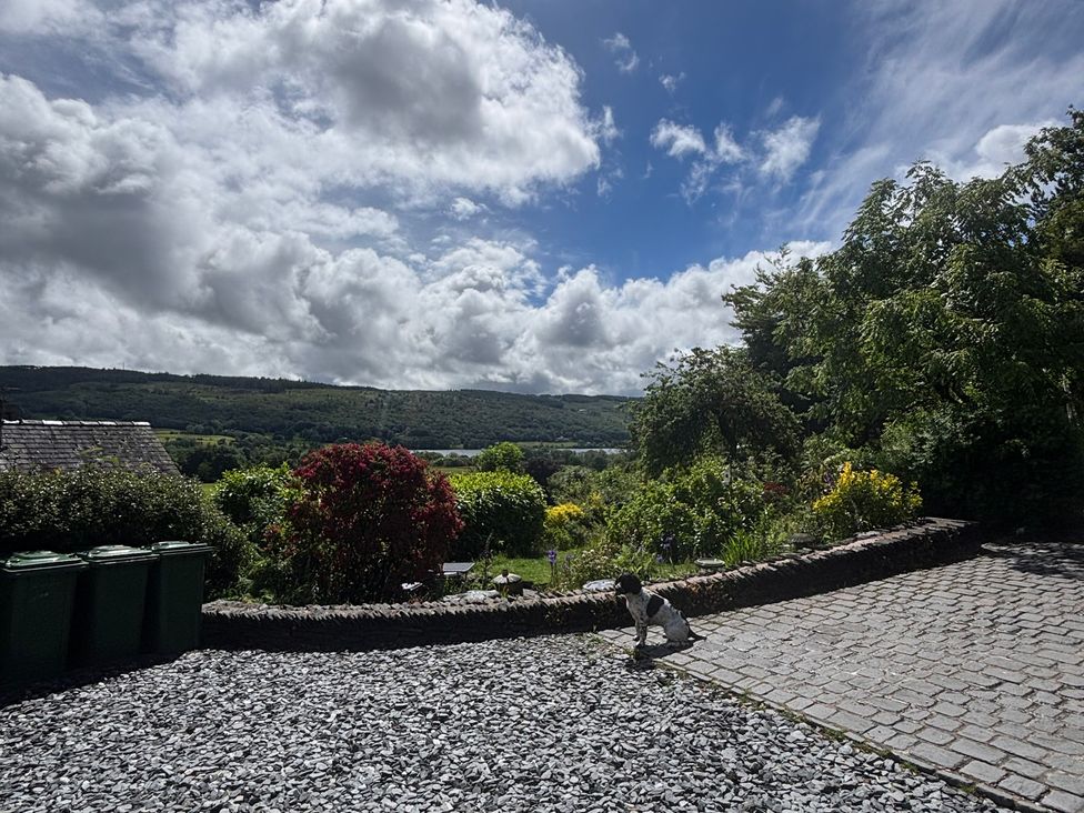 A garden with trees and bushes at Over Brow Cottage in Coniston