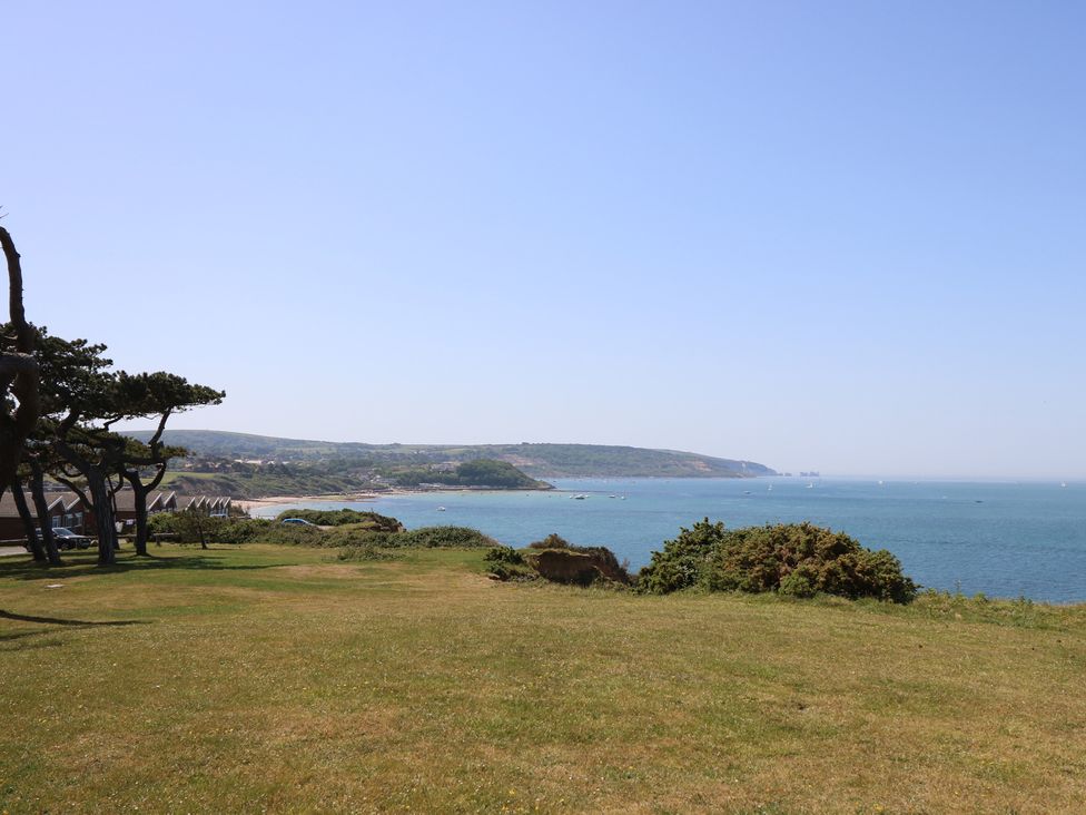 A grassy area with trees and views of the ocean at 57 Cliff End Freshwater