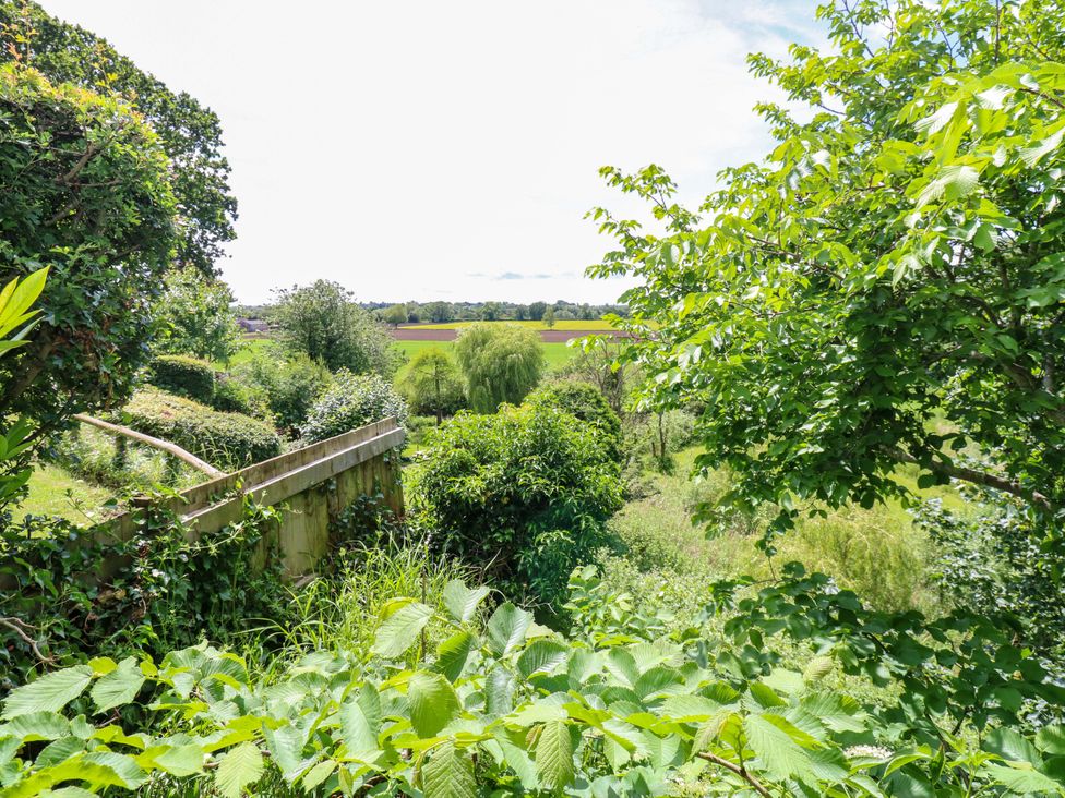 A garden with foliage and a view of a field at 331 Coniscliffe Road Darlington