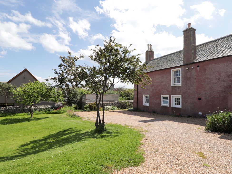 A house and tree in a garden area at 6 Hill Street in 