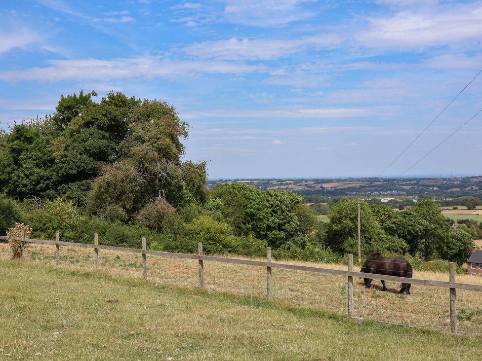 A horse grazing near a fence with trees and hills at Balwen Nercwys near Mold