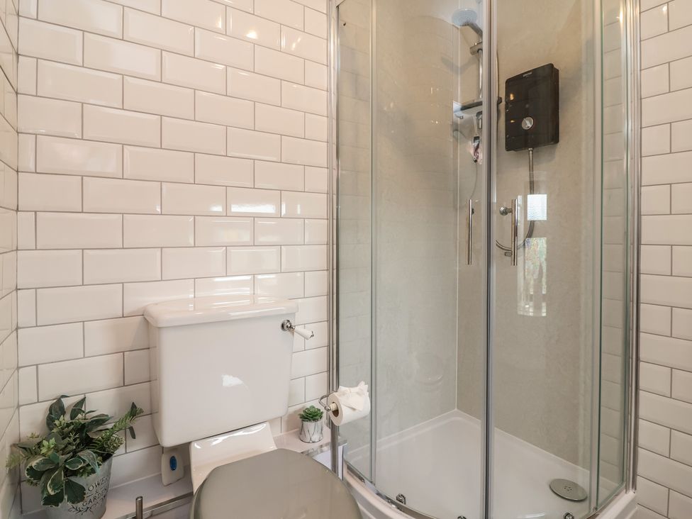 A bathroom featuring a shower and toilet at Tenandeleven Cottage Denbigh