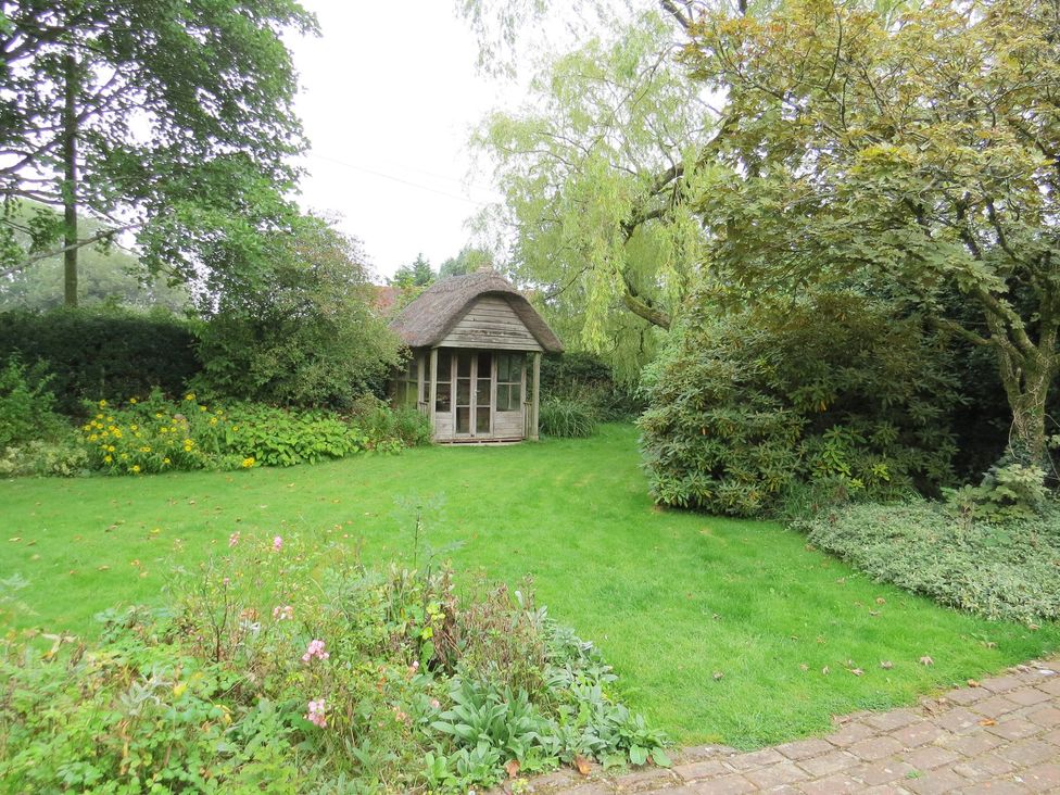 A garden with a shed and greenery at Little Owl High Cross near Petersfield