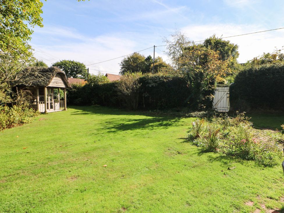 A garden with a shed and green grass at Little Owl in High Cross near Petersfield