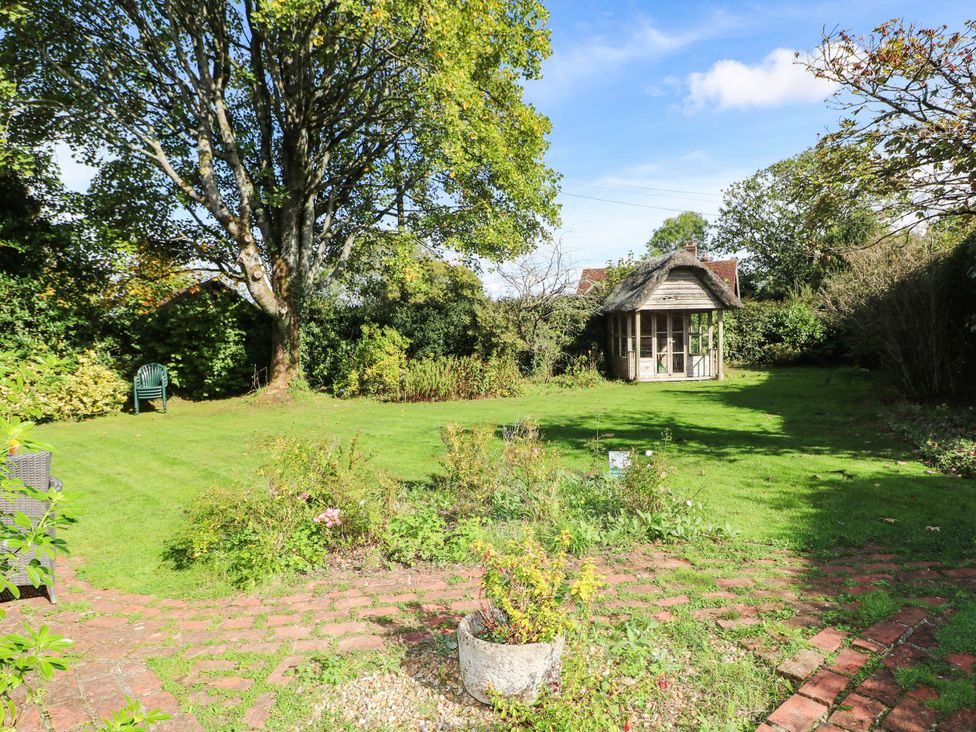 A garden with a tree and shed at Little Owl in High Cross near Petersfield