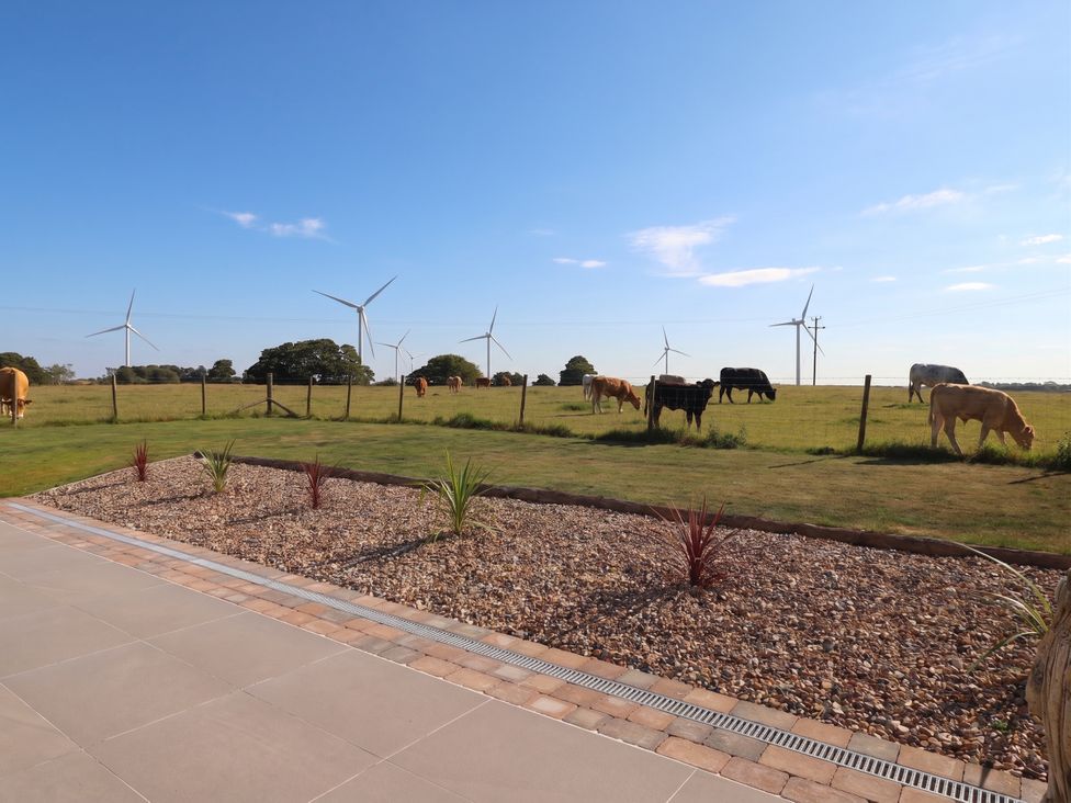 An outdoor area with cows and wind turbines at Gravel Pit Cottage in Bridlington
