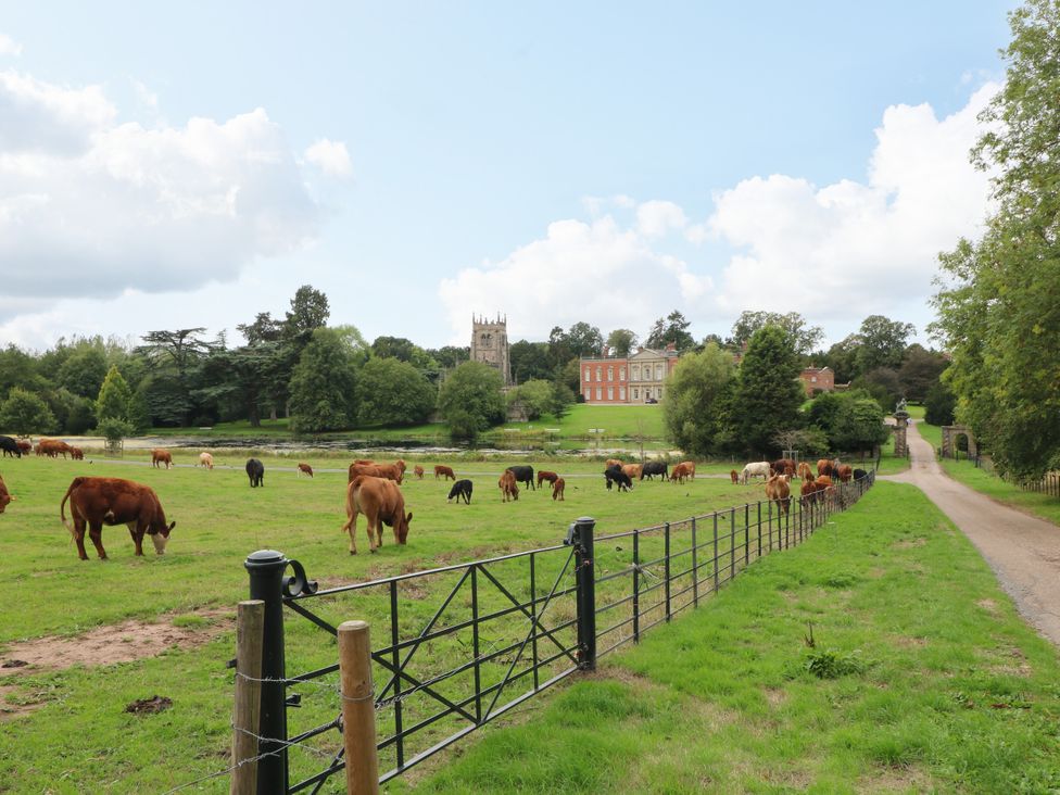 A field with cows and a building in the background at Next Door No. 4 in Coalville