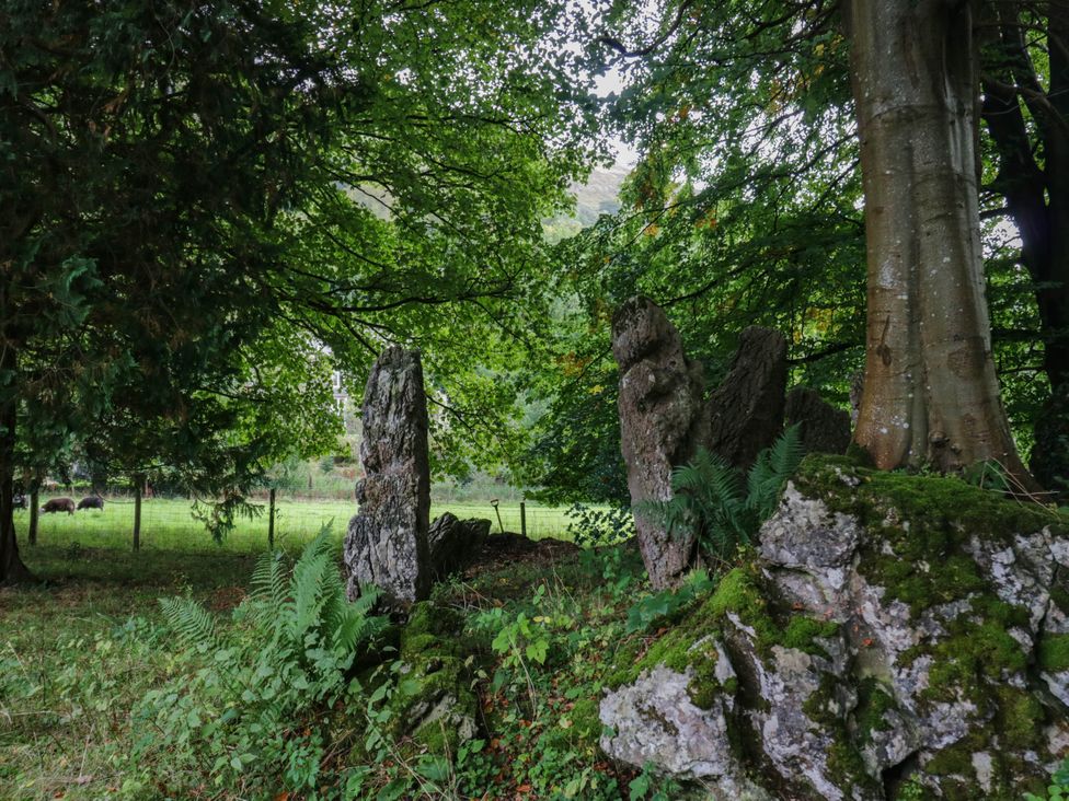 A view with stones and trees in a grassy area at Flat 4 Grasmere Lodge in Ambleside