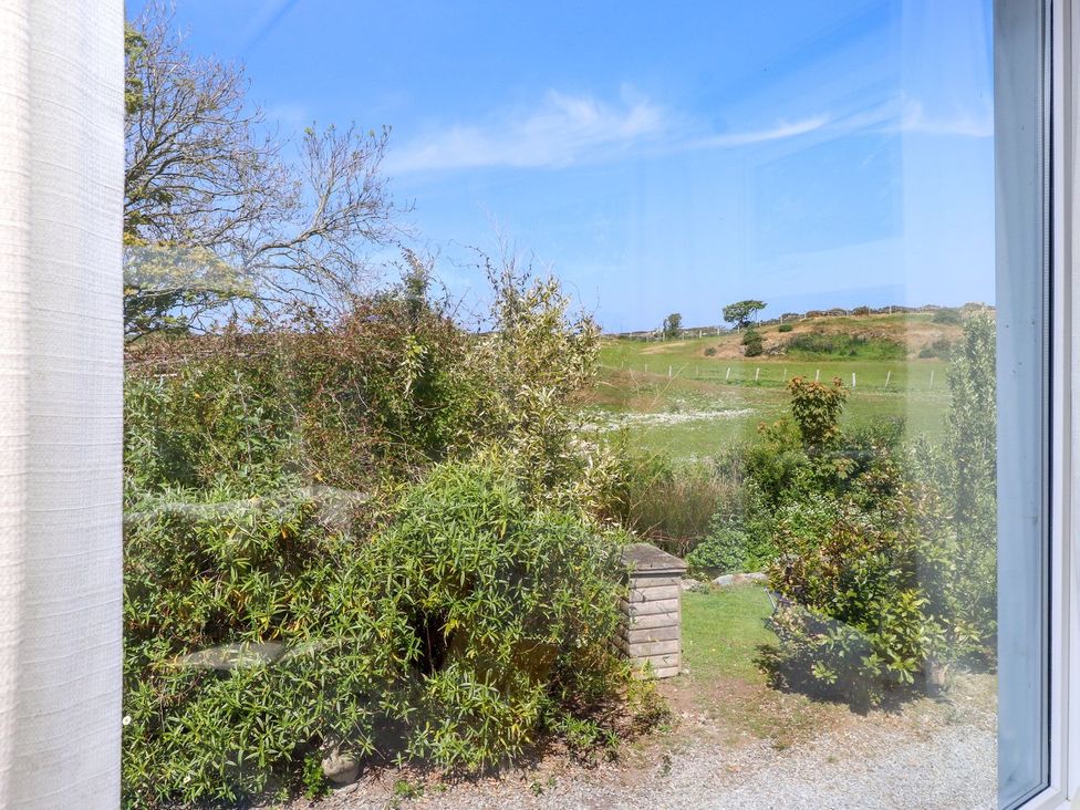 A view of trees and grass with a shed in the garden at The Lodge in Amlwch