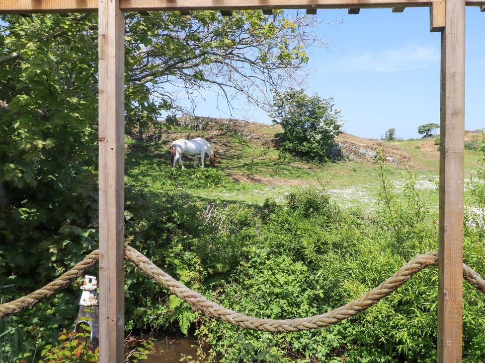 A horse grazing in a field framed by wooden structure at The Cabin Amlwch