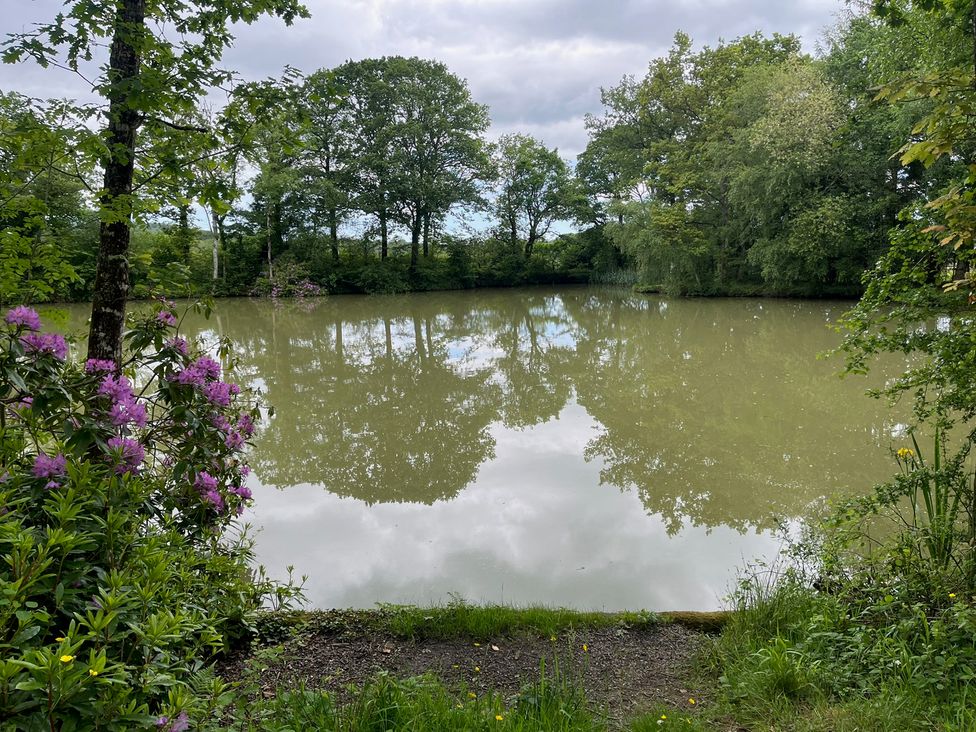 A pond surrounded by trees and flowers at Up Top in Launceston