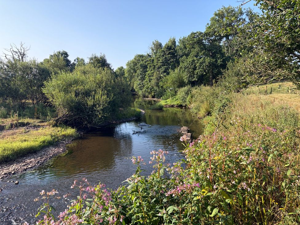 A river surrounded by plants and trees at Up Top in Launceston