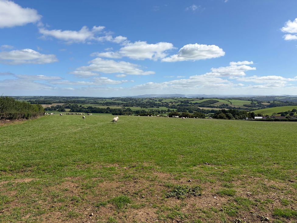 An outdoor scene with sheep grazing on grass at High View Barn in Launceston