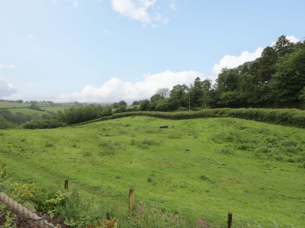 A view of a grassy field with trees and clouds at The Hut in Llandysul