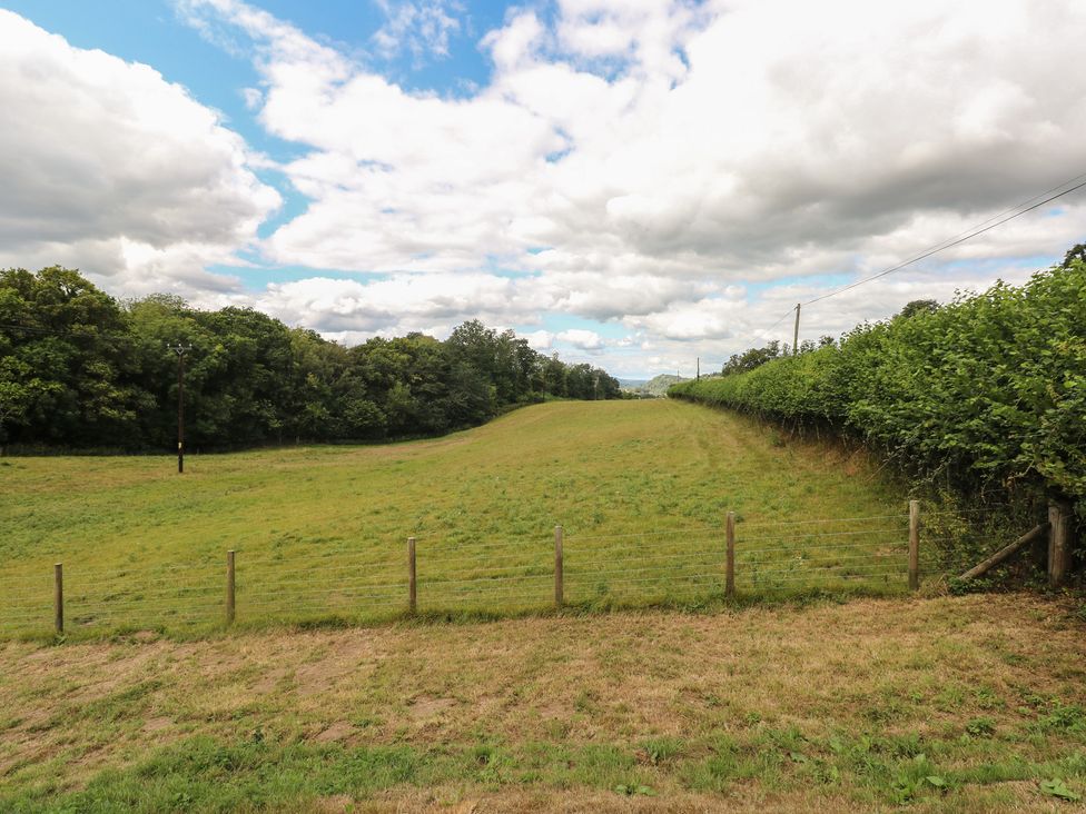 A field with trees and a fence near Cwtch Y Bugail 2 Near Llandeilo