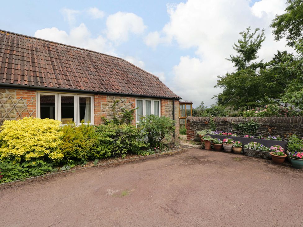 An outdoor area with plants and flower pots at The Garden Studio in Bremhill near Calne