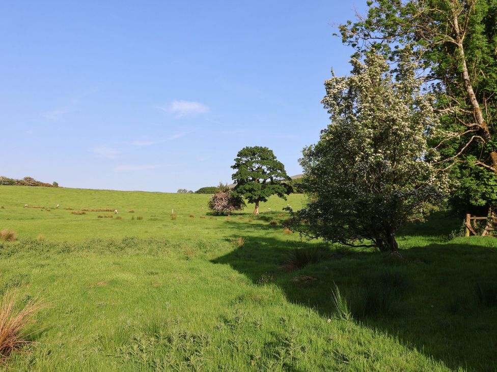 A field with trees and grass at Robin Hood Farmhouse, Keswick