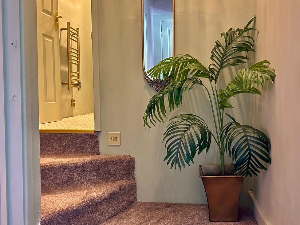 A staircase with a plant and mirror in the hallway at Downton I Alnwick