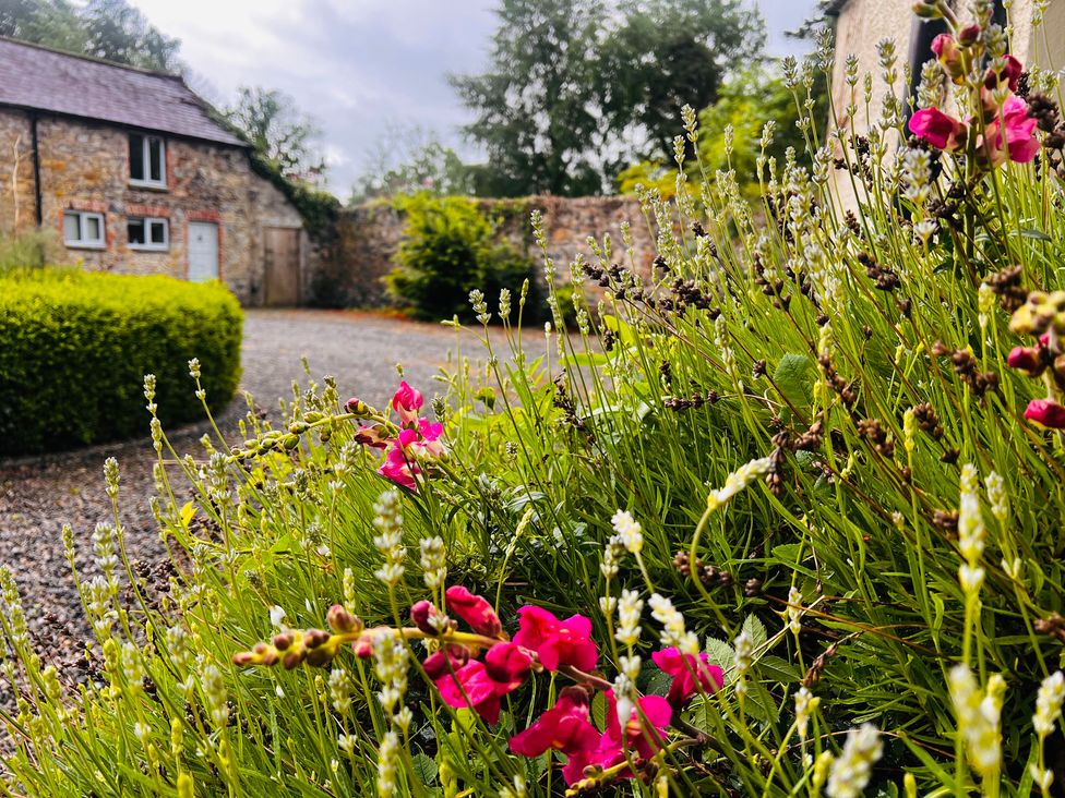 An outdoor space with flowers and a stone building at The Coach House Cottage in Ballycommon