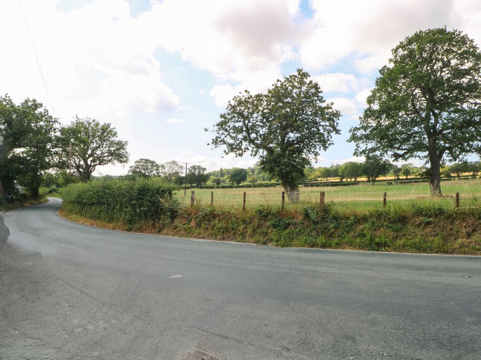 A curving road with trees and a field at Buzzards Retreat in Wrexham