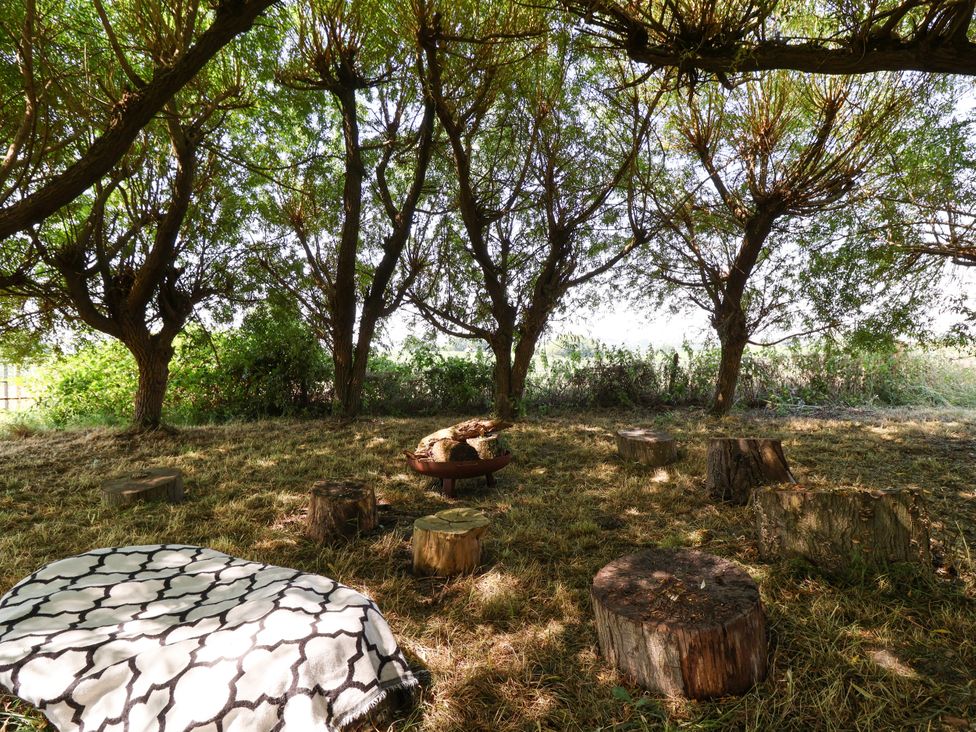 A gathering area with seating stumps under trees at The Old Dairy Corsley near Warminster