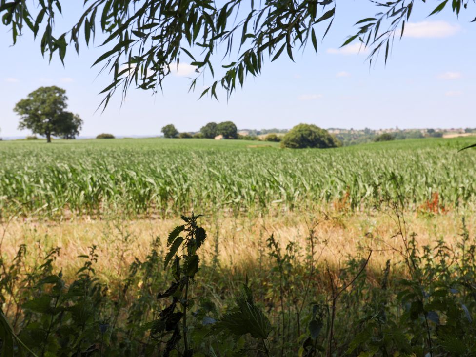 A view of a farm field with trees and a clear sky at The Old Dairy in Corsley near Warminster