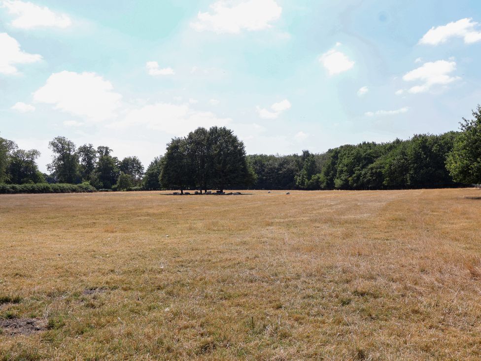 A field with trees and clouds at The Old Dairy Corsley near Warminster