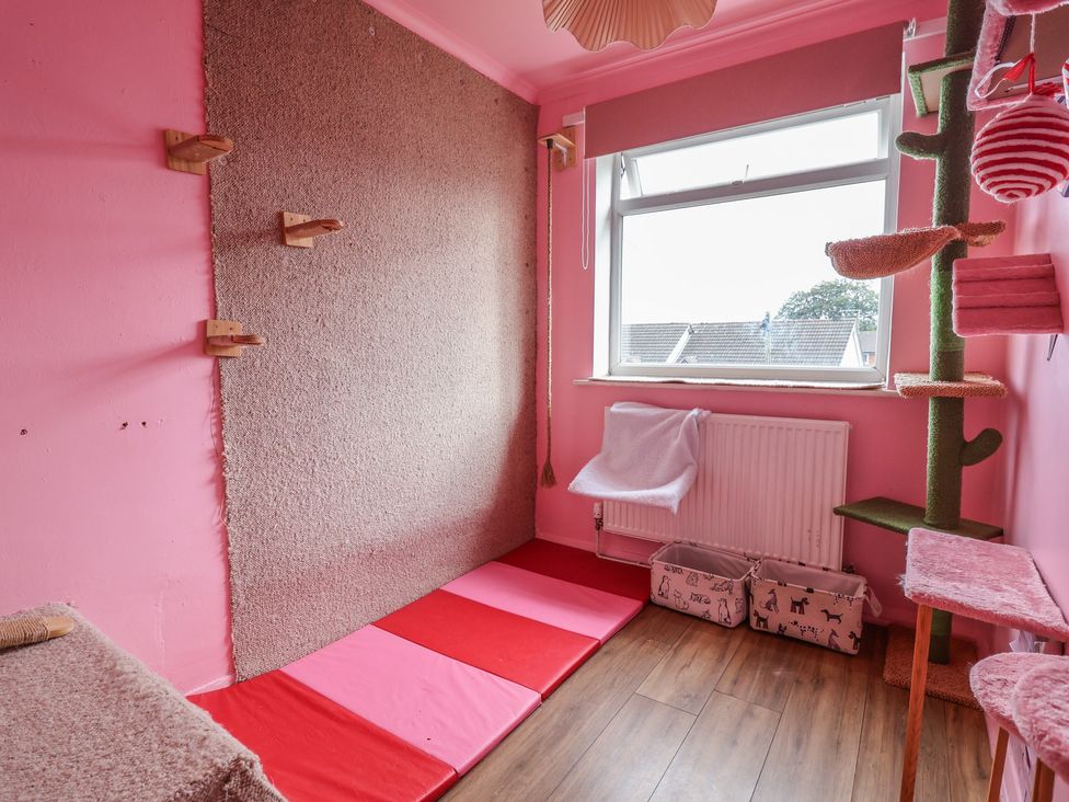 A cat room with a cat tree and sleeping mats at Hafan Deg in Holywell