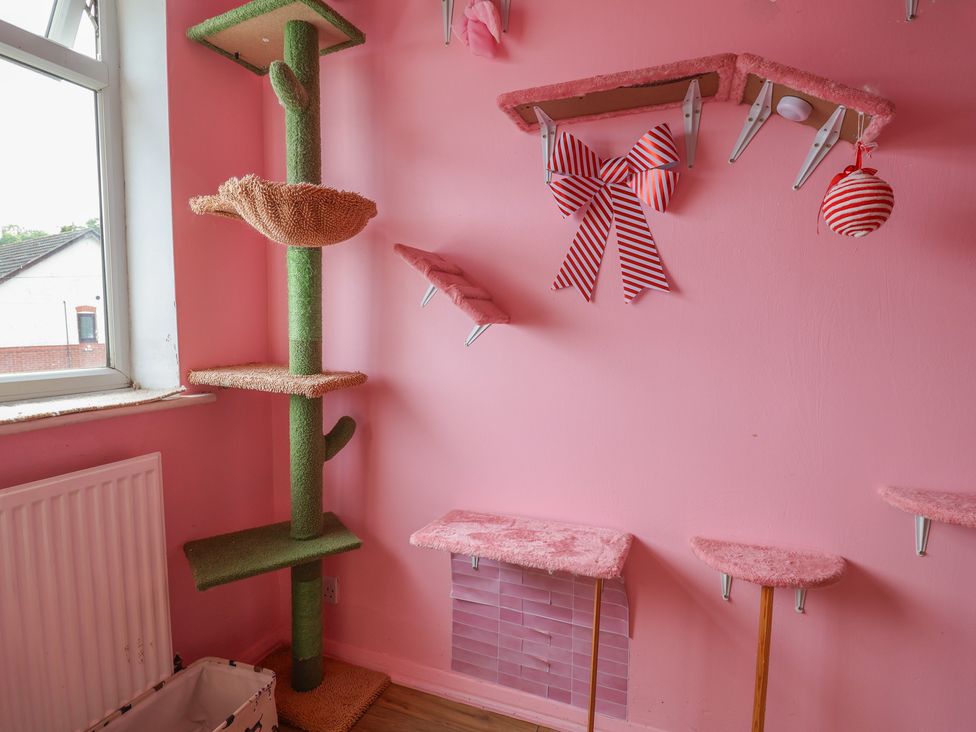 A cat room with climbing structures and shelves at Hafan Deg in Holywell