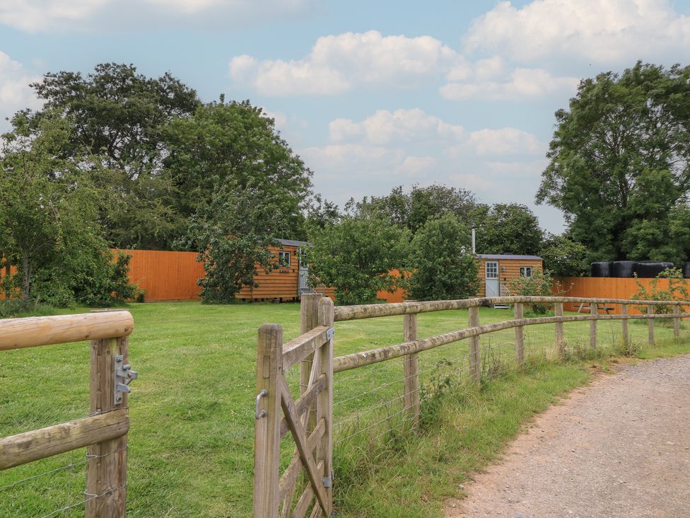 A garden with a wooden fence and shed at Pippins in Taunton