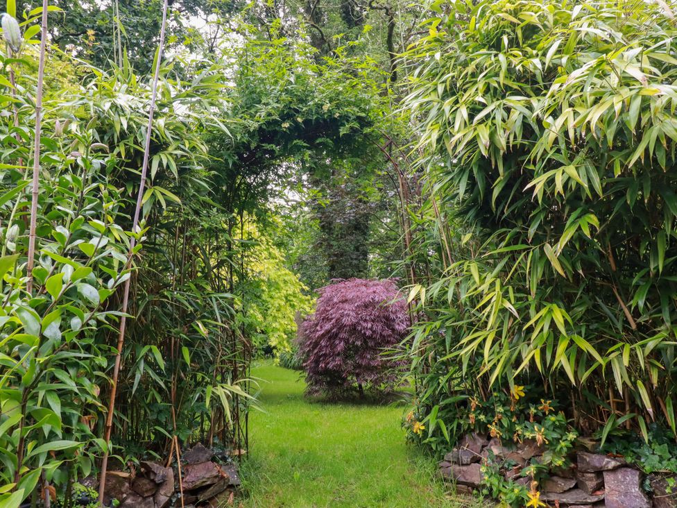 A garden with bamboo and a purple shrub at The Water Mill at Boyton Mill, Launceston