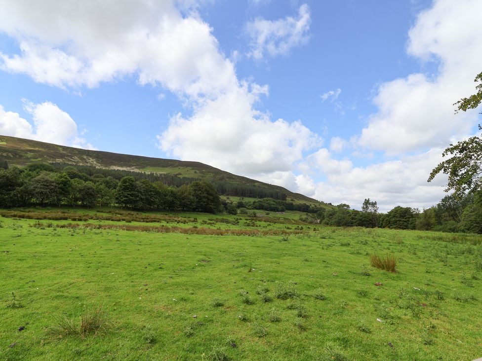 A landscape with grass and trees at Greenfield Manor near Greenfield
