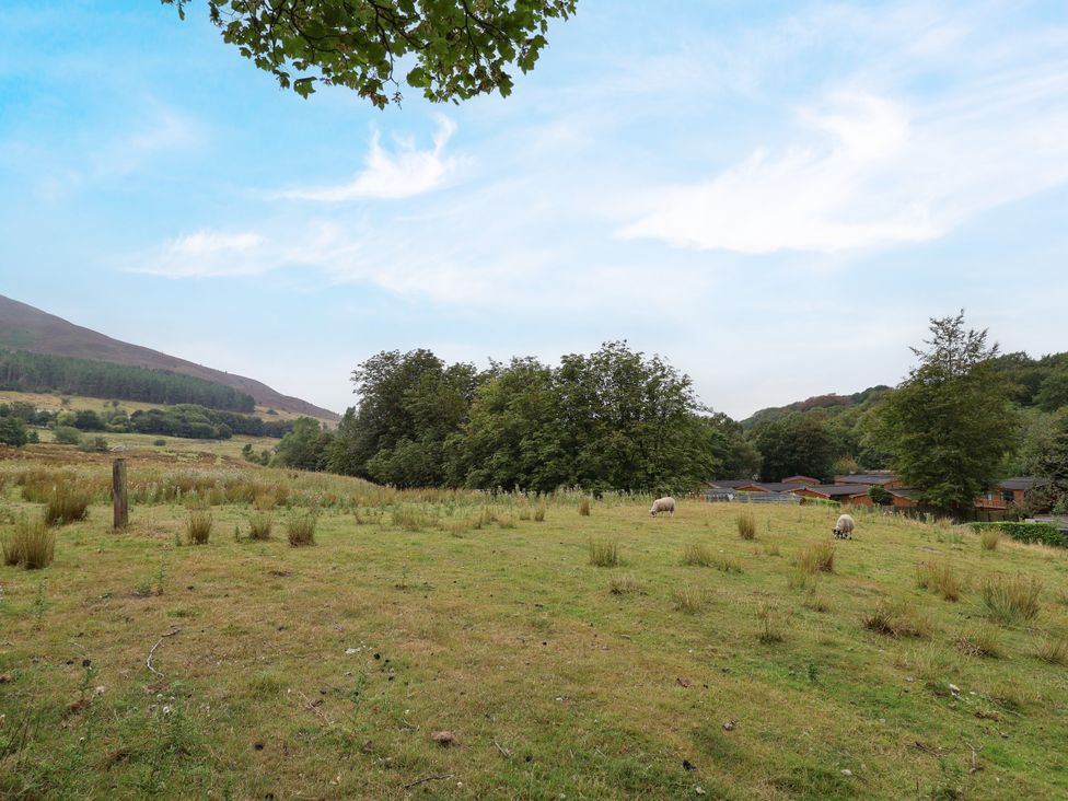 An outdoor view of grassy land with sheep and trees at Greenfield Manor near Greenfield