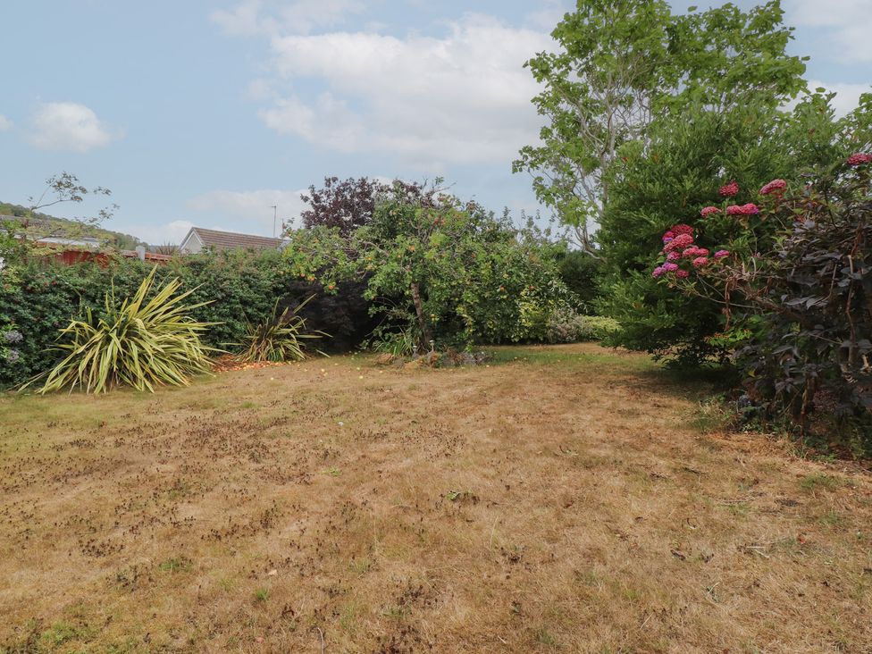 A garden with grass and various plants at Nampara in Colwyn Bay