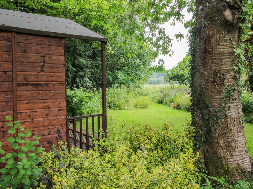 A garden with a shed and tree at Willow Cottage in Lydbury North