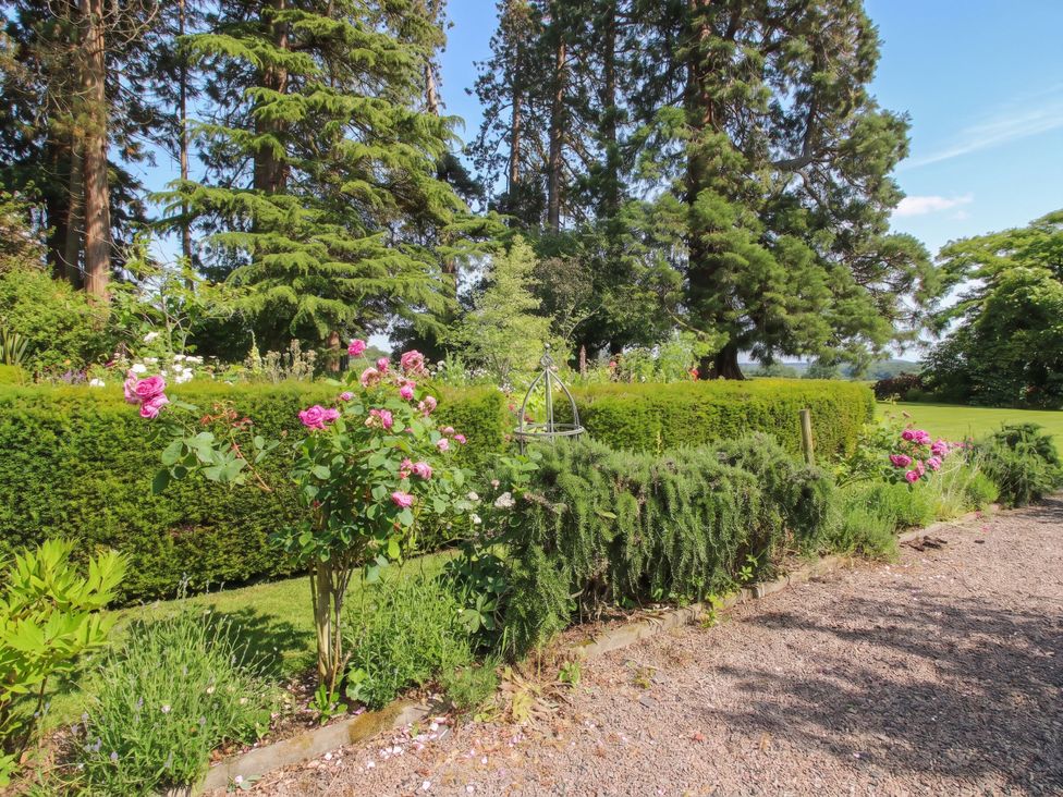A garden with rose bushes and trees at Apple Bough Cottage in Hereford