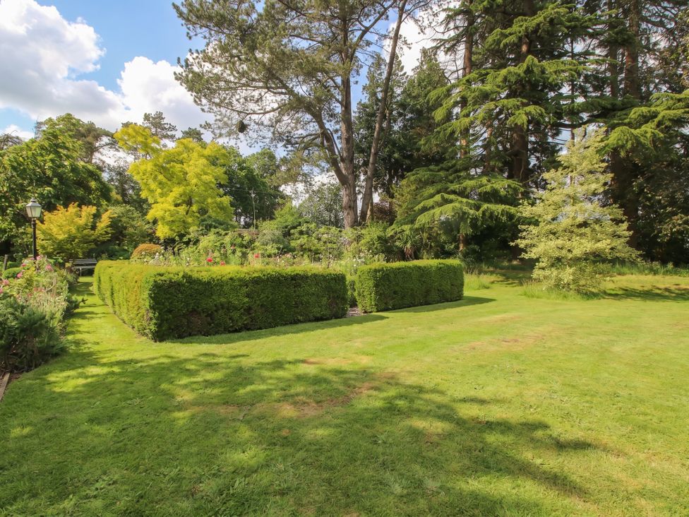 A garden with hedges, trees and a lamp post at Chess Cottage Hereford