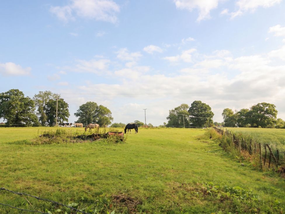 Horses grazing in a field at Chess Cottage in Hereford