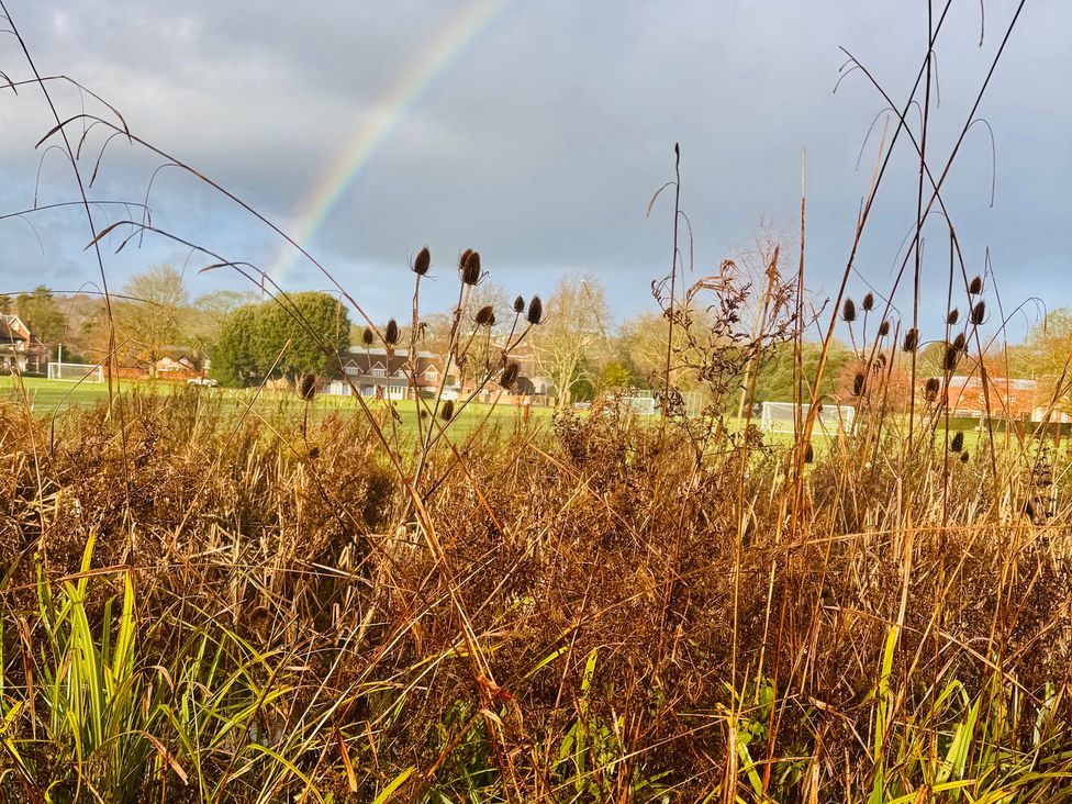 A field with grass and houses in the background with a rainbow at The Dacha in Winchester