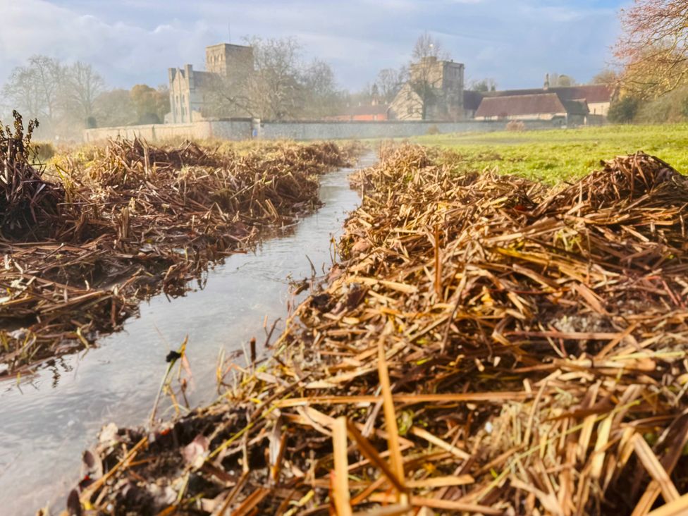 A view of water and straw with buildings in the background at The Dacha in Winchester