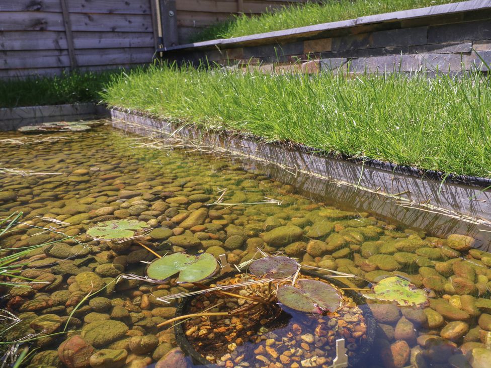 A pond with stones and lily pads at The Dacha in Winchester
